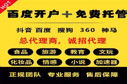 竞价排名广告投放案例